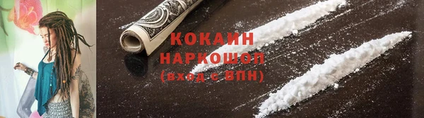 дживик Бронницы