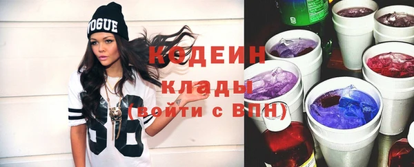 дживик Бронницы