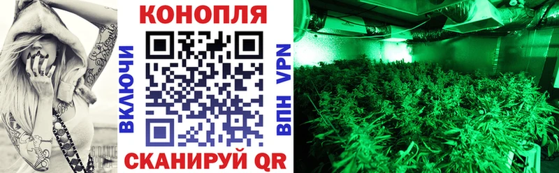 Каннабис планчик  продажа наркотиков  Псков 